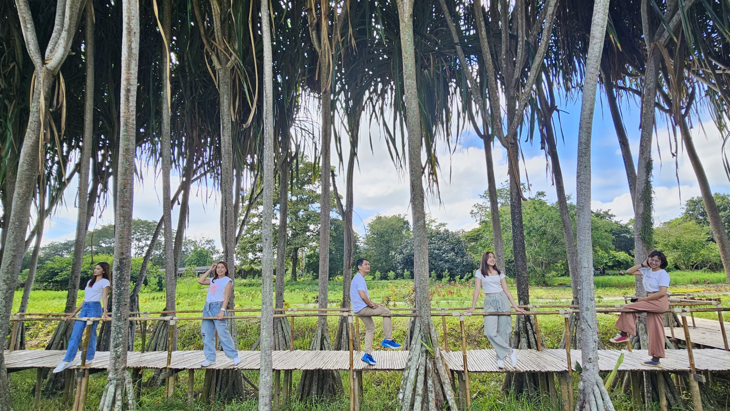 ภาพพด5 scaled