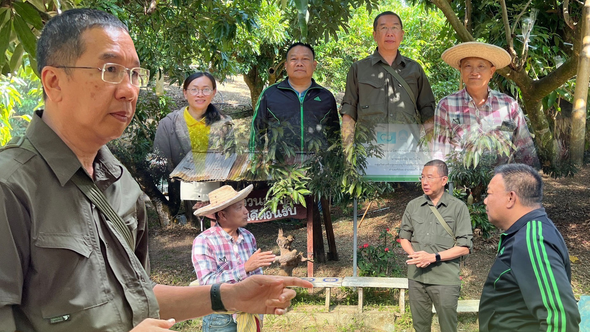 กรมส่งเสริมการเกษตรดันลิ้นจี่แม่ใจ หนึ่งในโครงการพะเยาโมเดลเน้นยกระดับสินค้าเกษตร เสริมศักยภาพเกษตรกร 1 ลิ้นจี่3