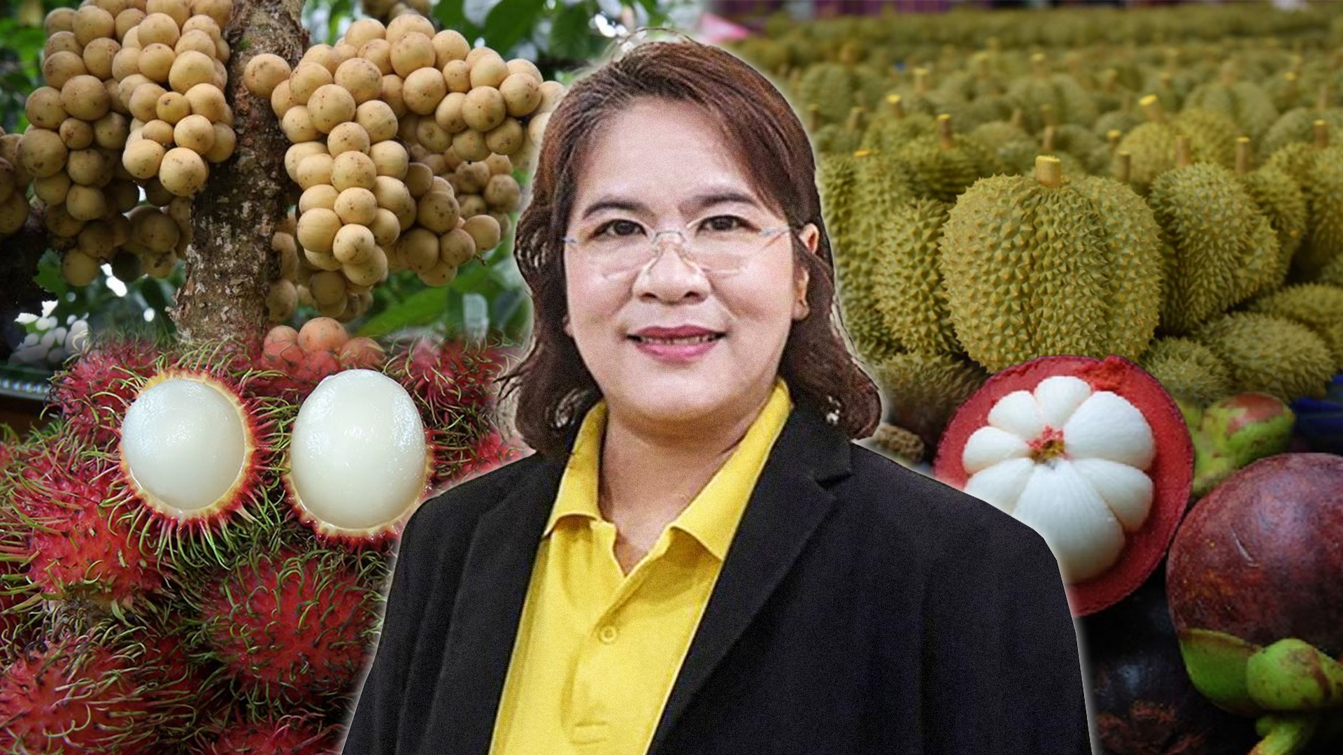 สศท