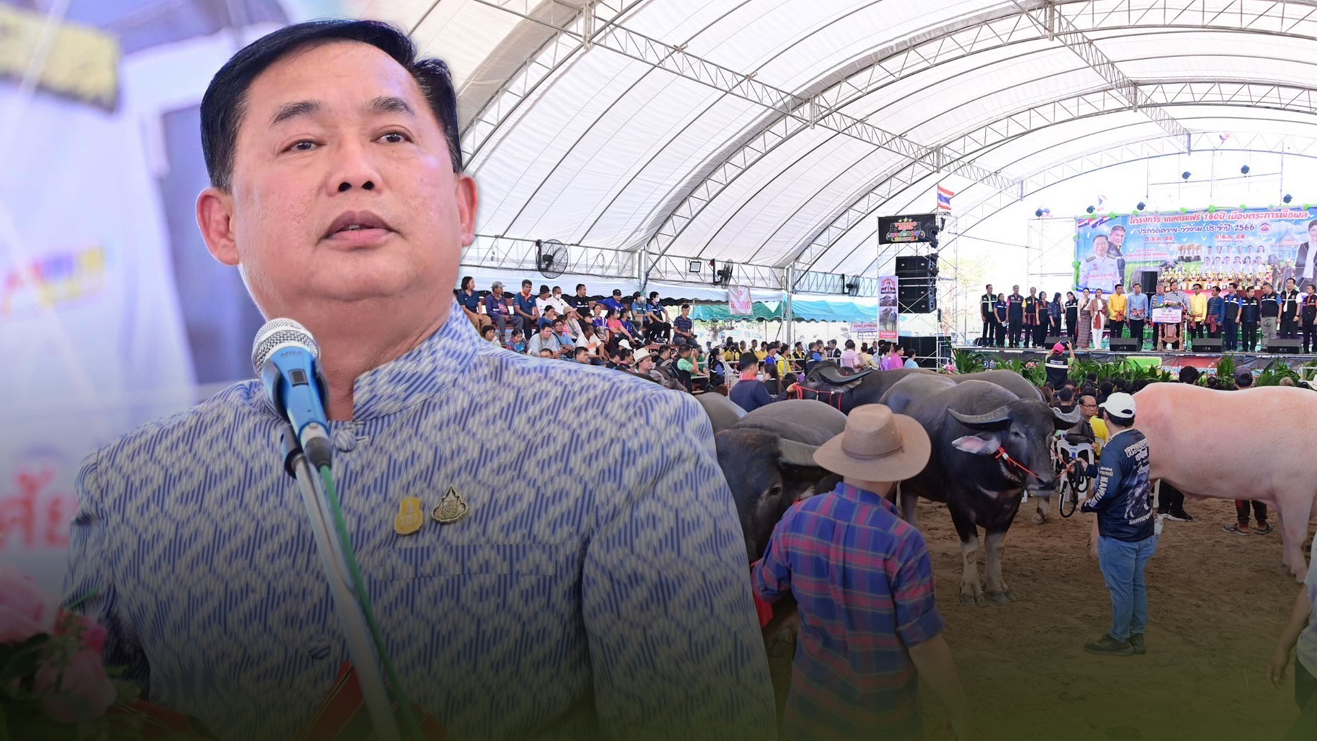 อาชีพปศุสัตว์3