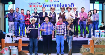 เทศกาลโคนม3