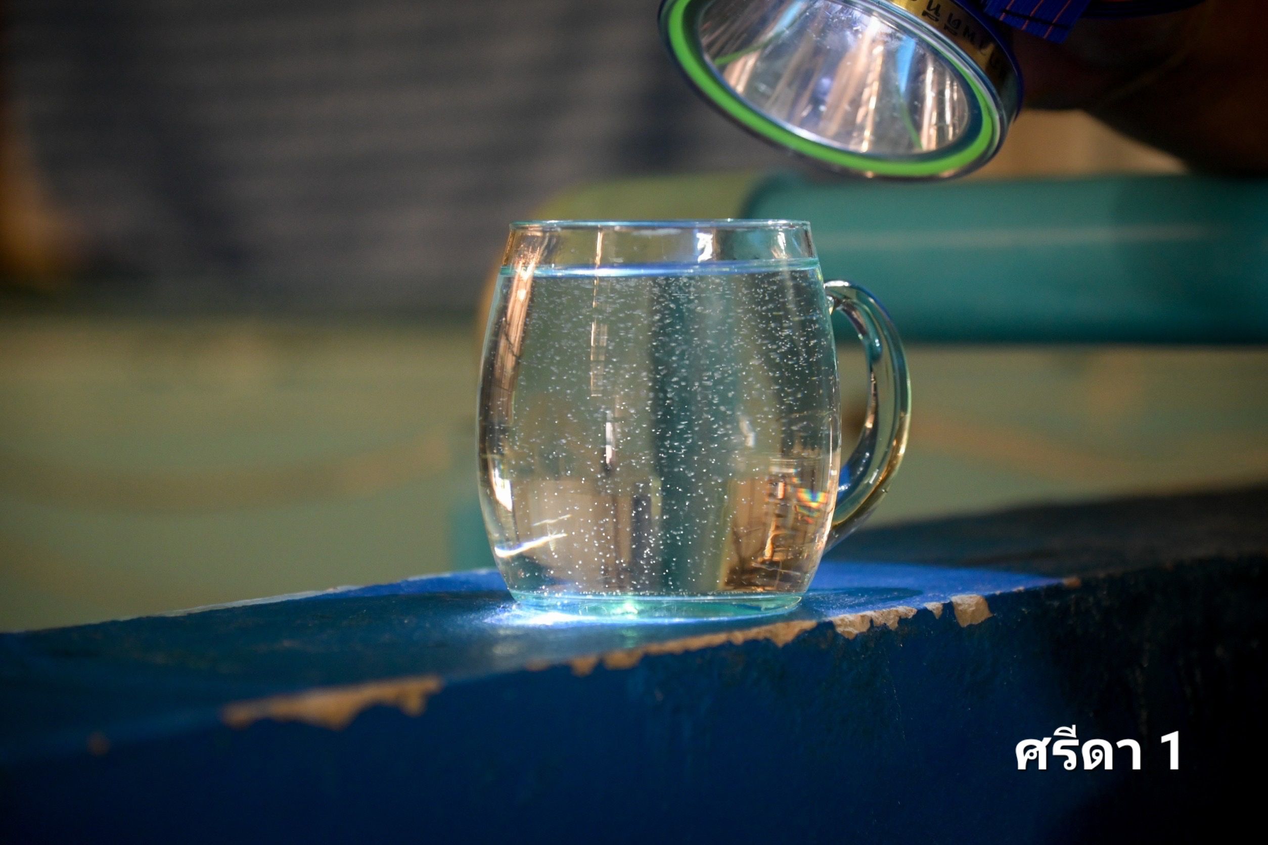 กรมประมงจับมือ สวก.ร่วมพัฒนางานวิจัยด้านการประมง แจ้งเกิด..กุ้งขาวแวนาไม 2 สายพันธุ์ใหม่ 312438