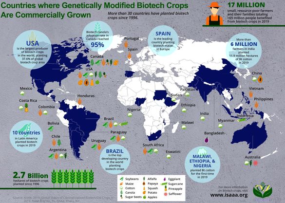อ.เจษฎา โพสต์ ยัน อาหารจีเอ็มโอ รับประทานได้ ไม่เป็นอันตราย ไม่ส่งต่อยีนให้กับลูกหลาน 3 415002153 2949924338471514 1632462608670321338 n