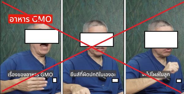 415734717 2949924291804852 4554368028435090787 n