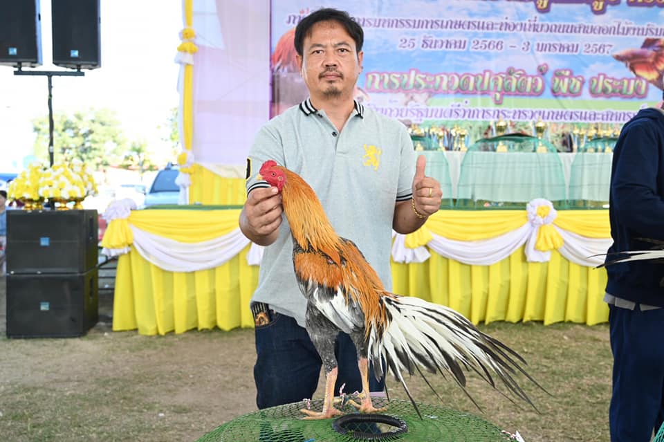 รมว.เกษตรฯธรรมนัส มอบรางวัลประกวดไก่พื้นเมืองสวยงาม งานมหกรรมสินค้าเกษตรมูลค่าสูง ครั้งที่ 1 ภายใต้งานมหกรรมการเกษตรและท่องเที่ยวถนนสายดอกไม้งามริมกว๊านพะเยา 8 415877797 683672750542322 4026039633600165028 n