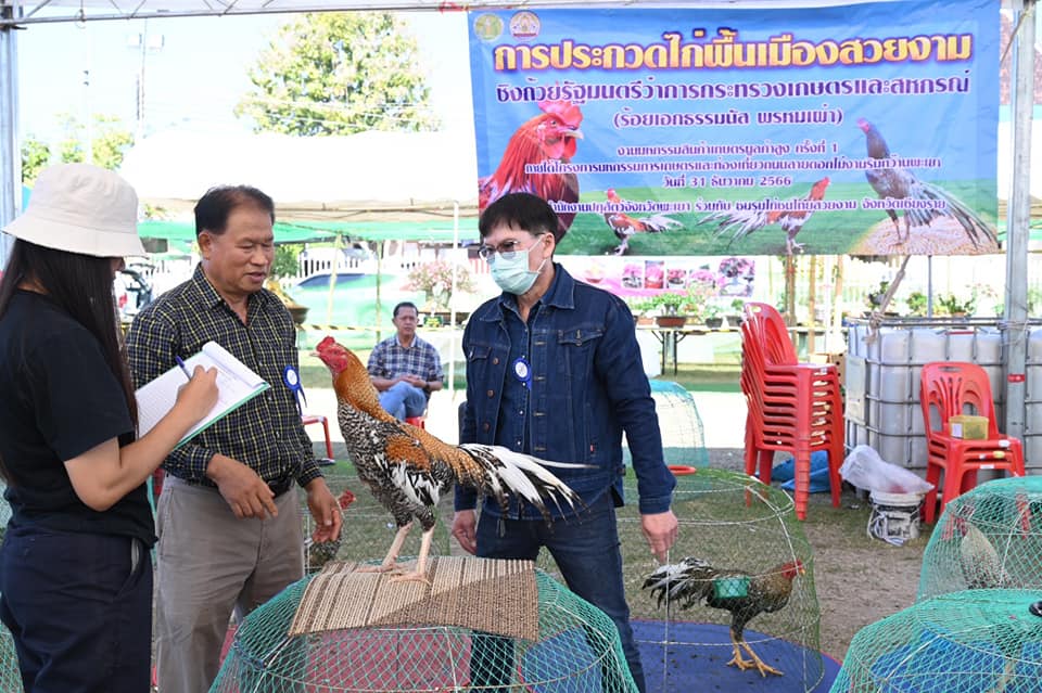 รมว.เกษตรฯธรรมนัส มอบรางวัลประกวดไก่พื้นเมืองสวยงาม งานมหกรรมสินค้าเกษตรมูลค่าสูง ครั้งที่ 1 ภายใต้งานมหกรรมการเกษตรและท่องเที่ยวถนนสายดอกไม้งามริมกว๊านพะเยา 9 415919548 683672780542319 4025320060412682034 n