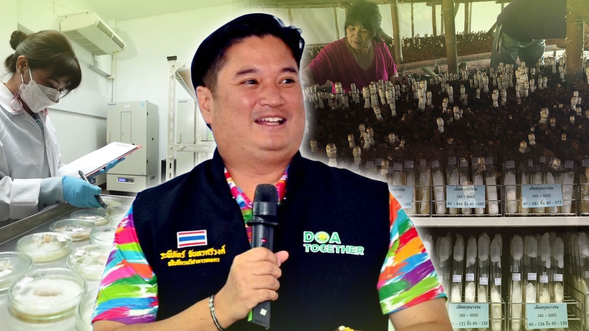 ศูนย์รวบรวมเชื้อพันธุ์เห็ดแห่งประเทศไทย หนุนอาชีพเพาะเห็ด ให้บริการเชื้อเห็ดสายพันธุ์ดี 27 ชนิด 41 สายพันธุ์ 1 IMG 8917