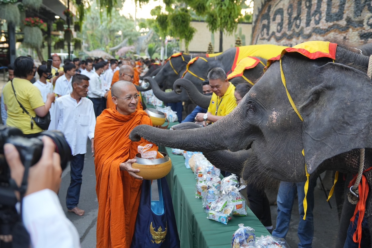 สวนนงนุชพัทยา ต้อนรับวันปีใหม่ 2567 จัดพิธีทำบุญตักบาตรพระ 9 วัด 19 รูป และนำน้องช้าง 9 เชือกร่วมพิธี 4 S 5448108