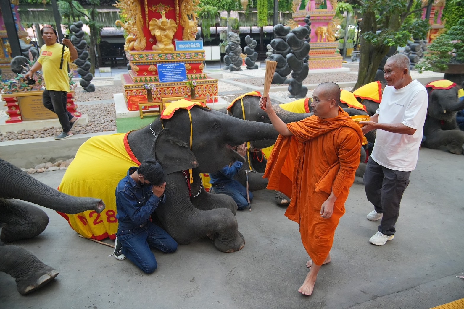 สวนนงนุชพัทยา ต้อนรับวันปีใหม่ 2567 จัดพิธีทำบุญตักบาตรพระ 9 วัด 19 รูป และนำน้องช้าง 9 เชือกร่วมพิธี 6 S 5448121