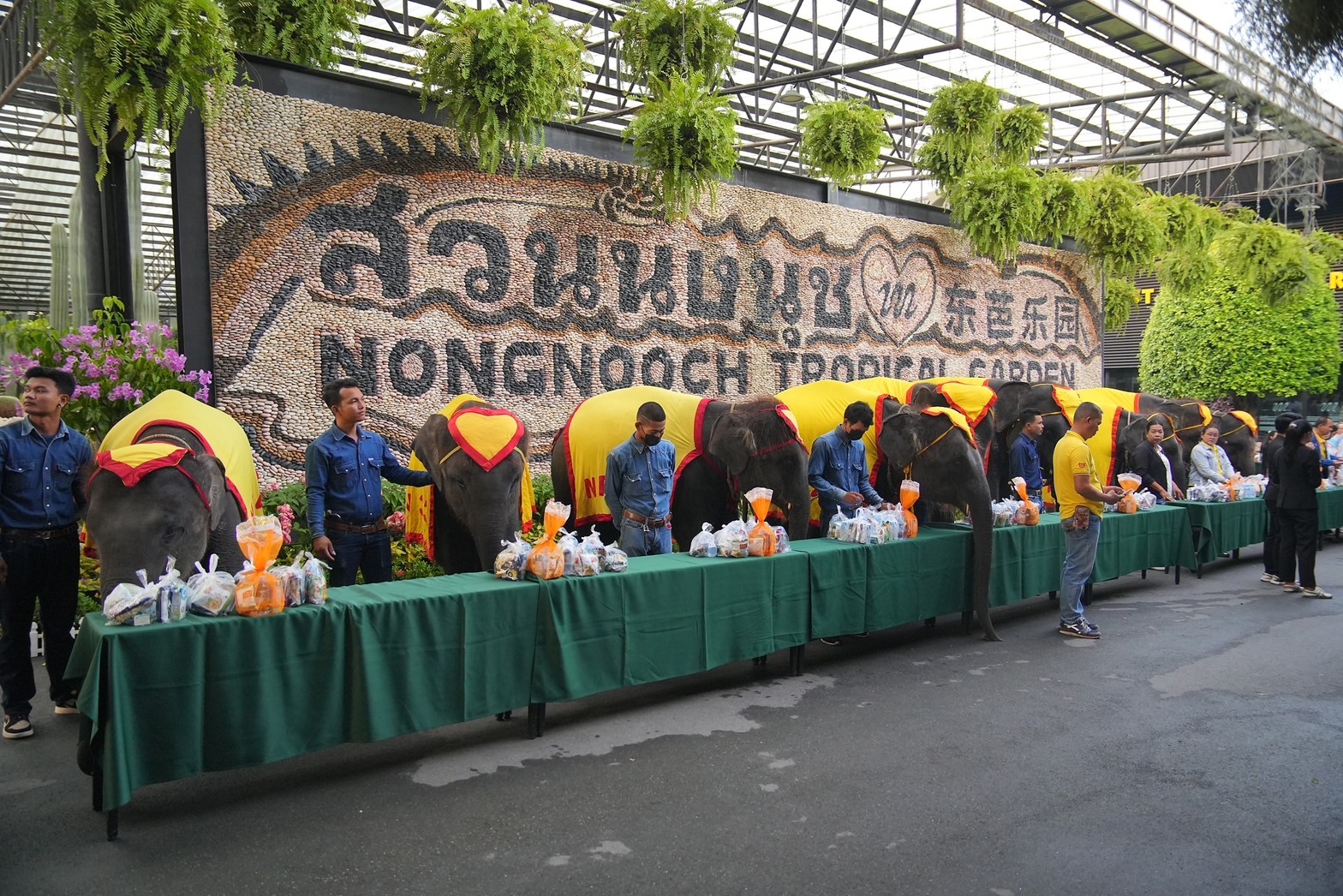 สวนนงนุชพัทยา ต้อนรับวันปีใหม่ 2567 จัดพิธีทำบุญตักบาตรพระ 9 วัด 19 รูป และนำน้องช้าง 9 เชือกร่วมพิธี 5 S 5448122