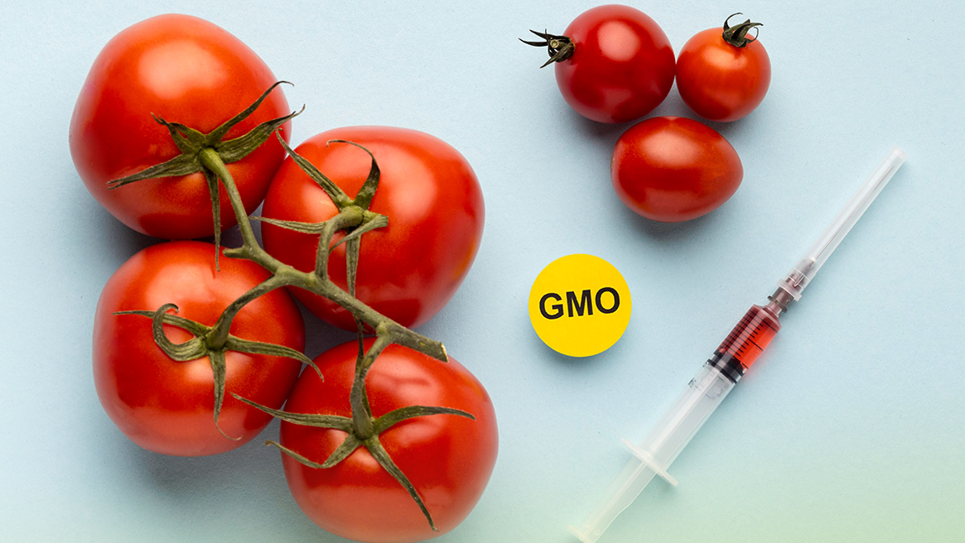 จีเอ็มโอ3