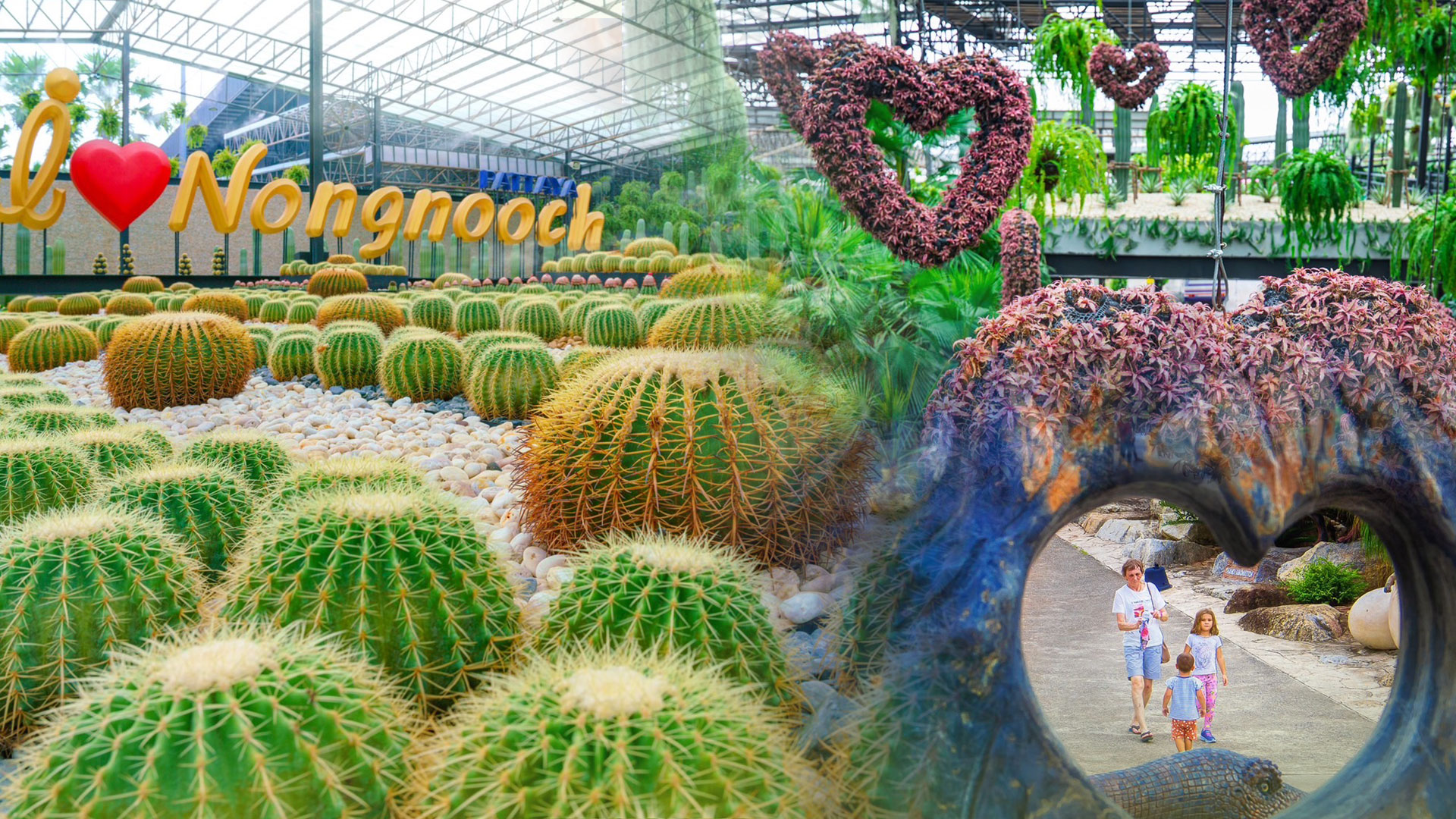 สวนนงนุช3