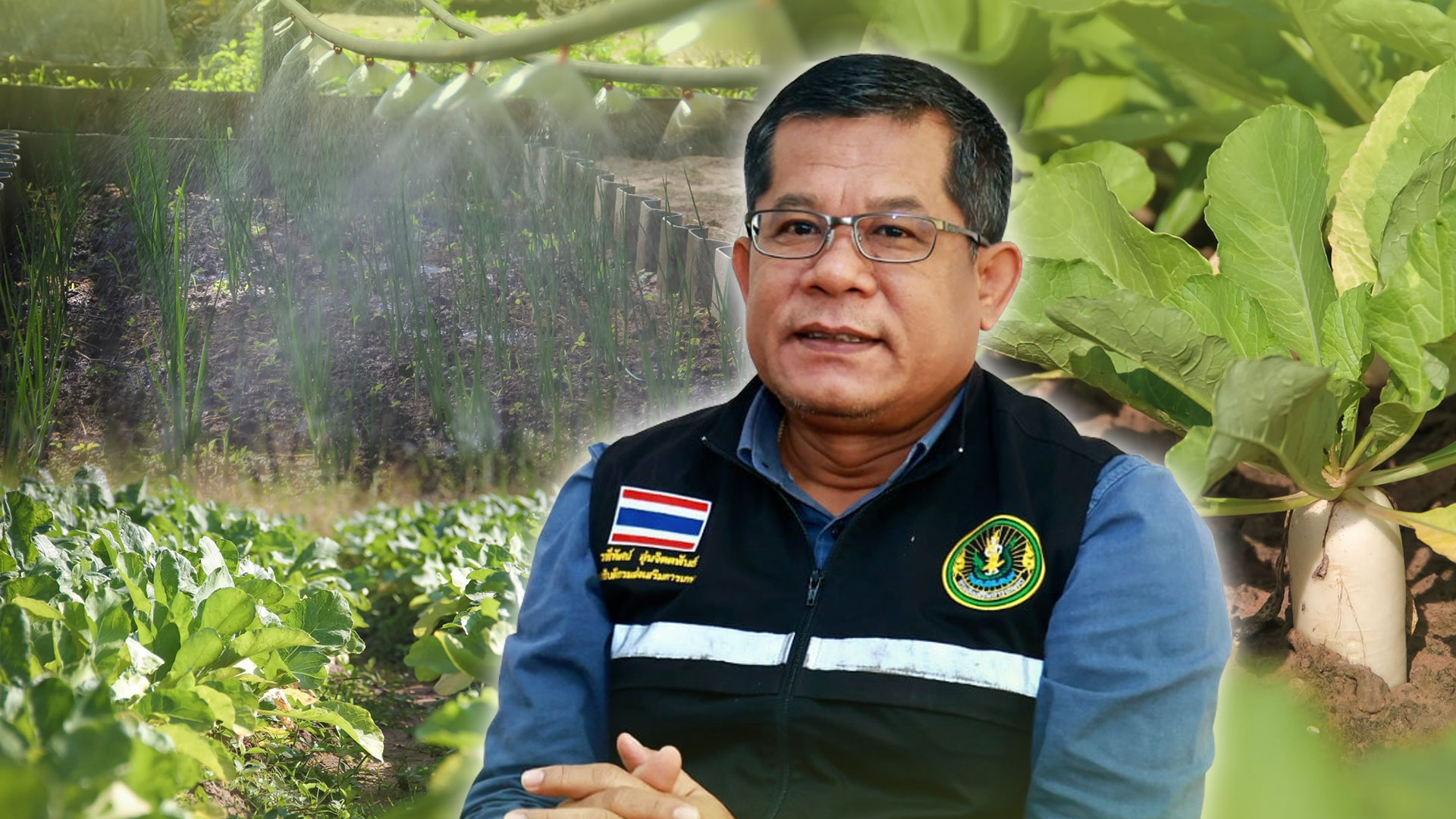 ดูแลผัก3