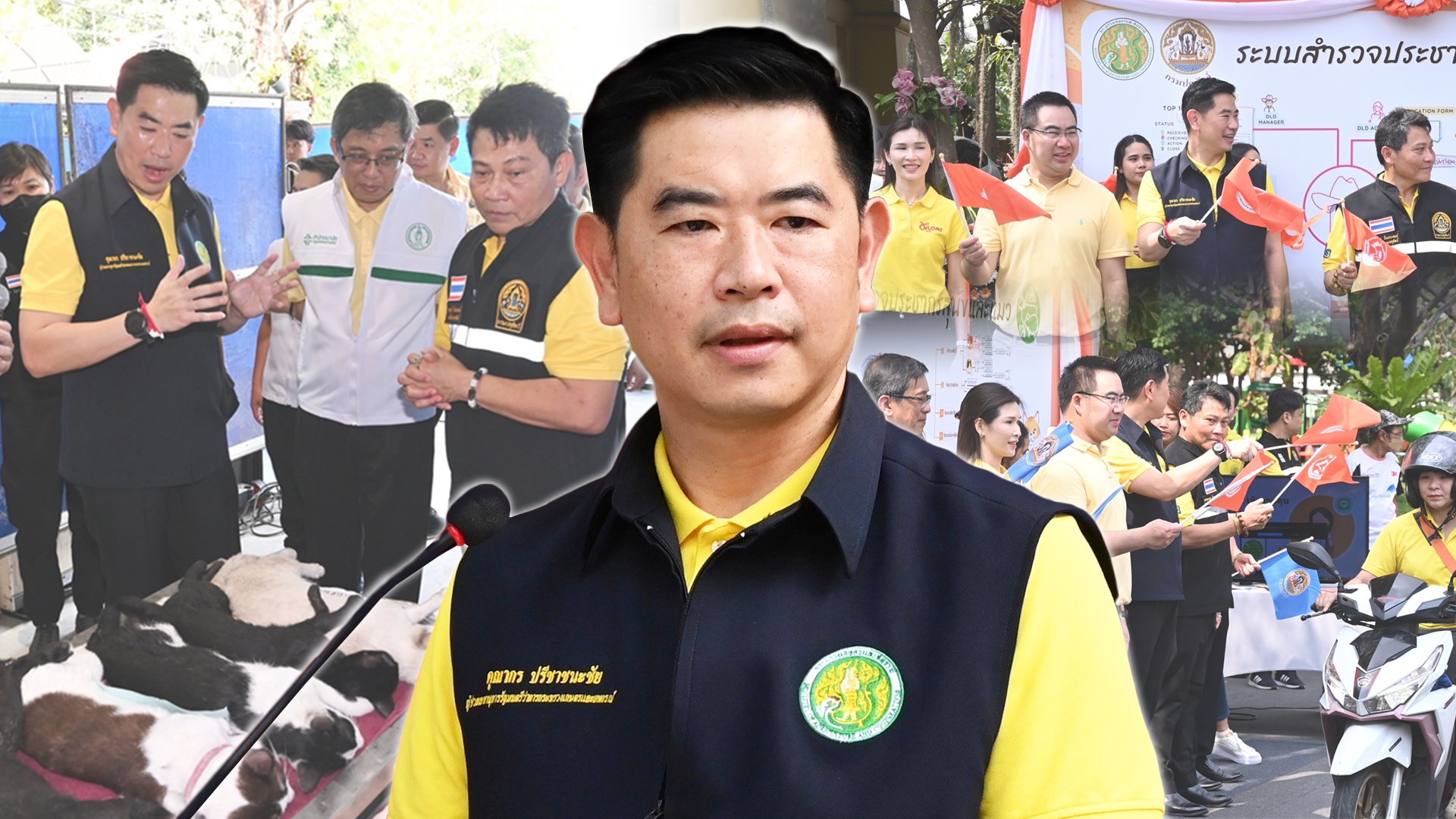 ปศุ