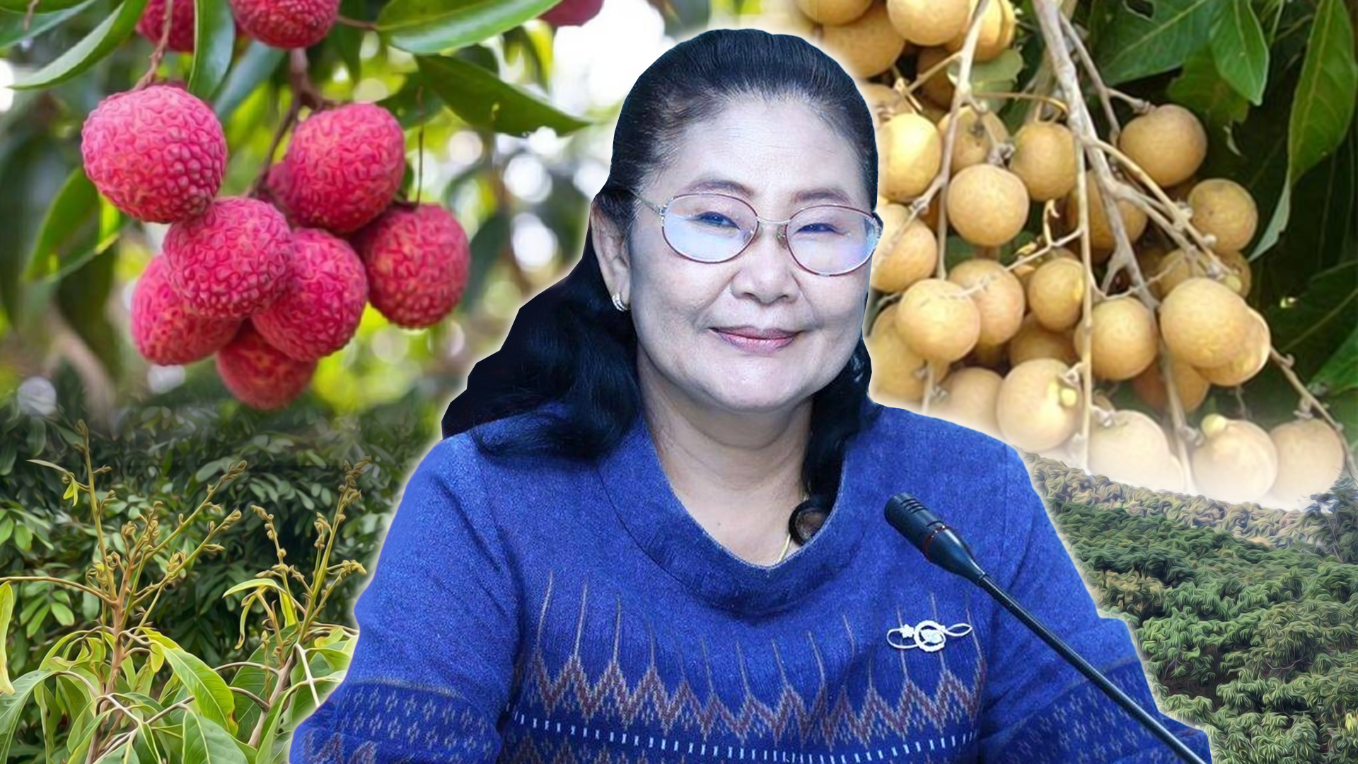 สศก 4
