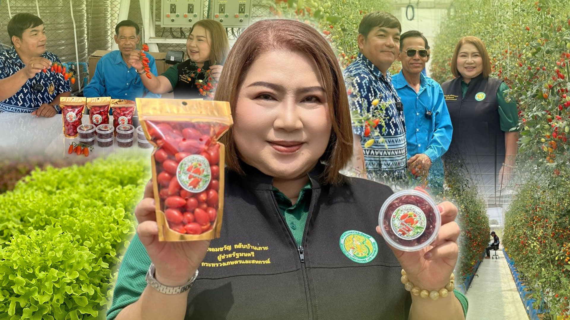 แปลงเกษตรกรต้นแบบ3