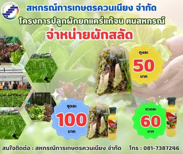 สหกรณ์ควนเนียง รุกตลาดออนไลน์ ช่วยสมาชิกเข้าถึง”สินค้าสหกรณ์” 9 1087849