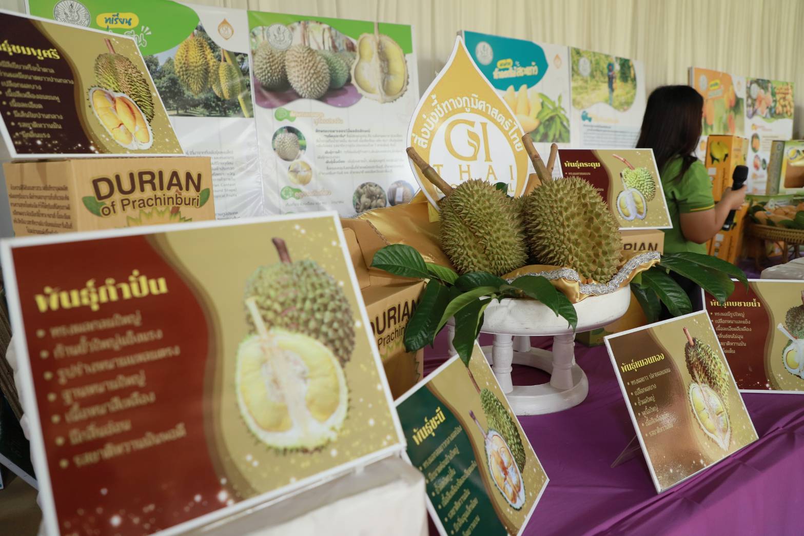 เปิดฤดูกาลผลไม้อัตลักษณ์ต้นแบบ ดึงจุดเด่นแหล่งกำเนิด สร้างมูลค่าเพิ่มให้กับสินค้าเกษตร 7 230229