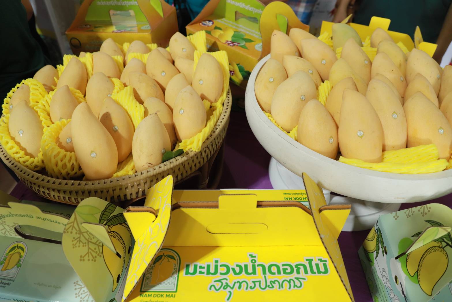 เปิดฤดูกาลผลไม้อัตลักษณ์ต้นแบบ ดึงจุดเด่นแหล่งกำเนิด สร้างมูลค่าเพิ่มให้กับสินค้าเกษตร 8 230230