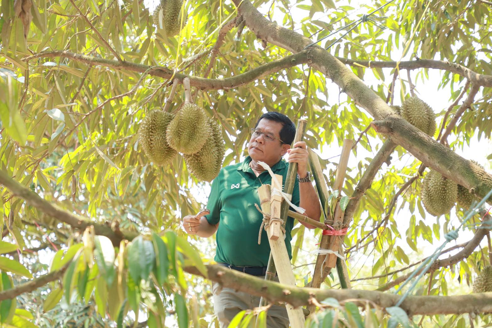 เปิดฤดูกาลผลไม้อัตลักษณ์ต้นแบบ ดึงจุดเด่นแหล่งกำเนิด สร้างมูลค่าเพิ่มให้กับสินค้าเกษตร 3 230233