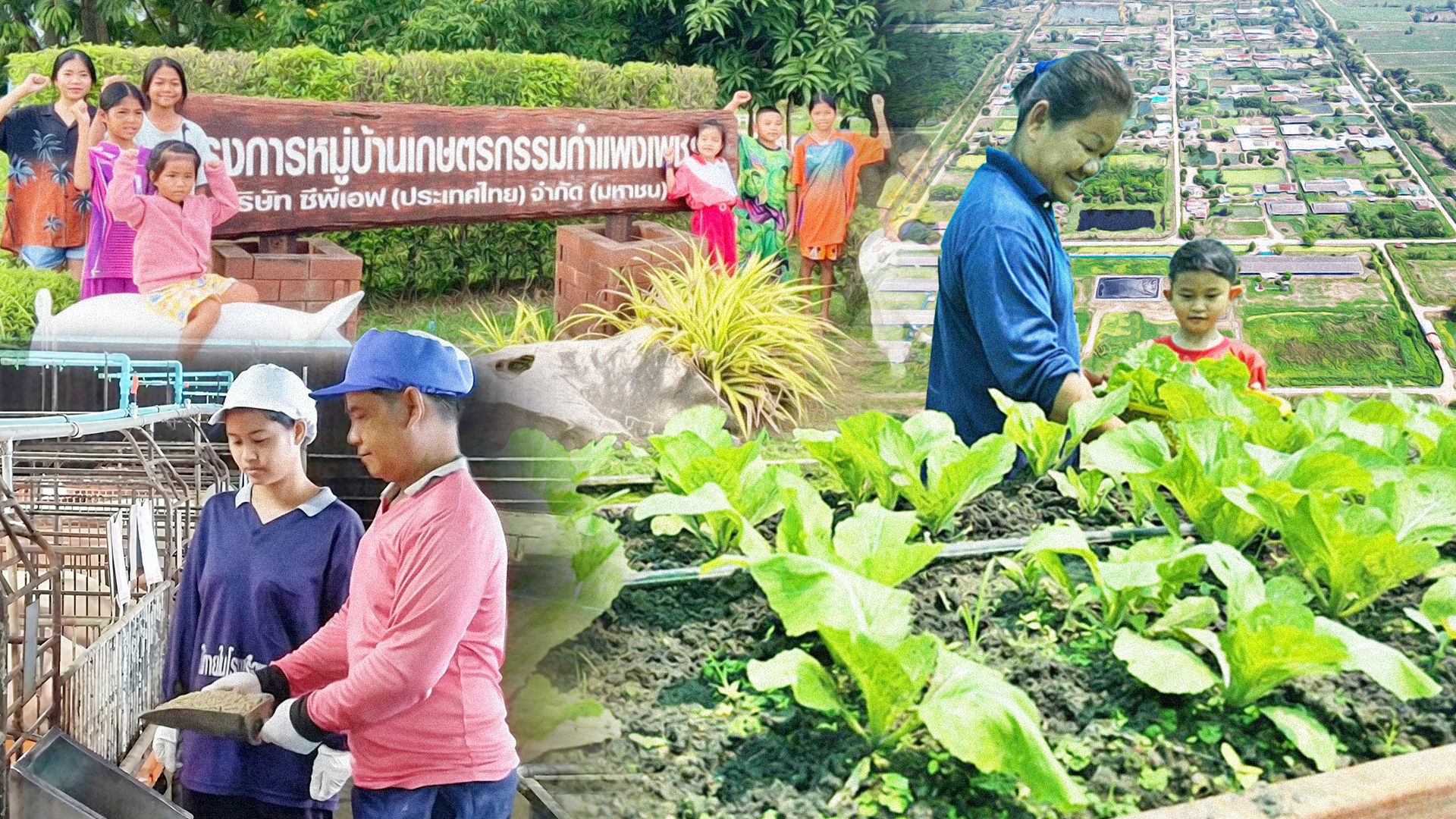 บ้าน