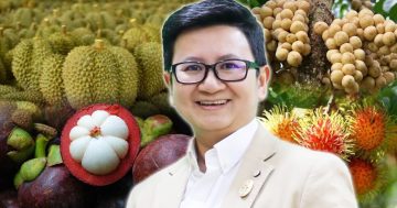 ปีนี้