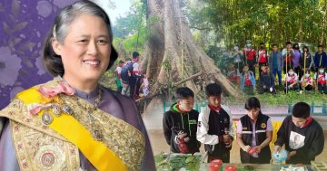 อนุรักษ์พันธุกรรมพืช3