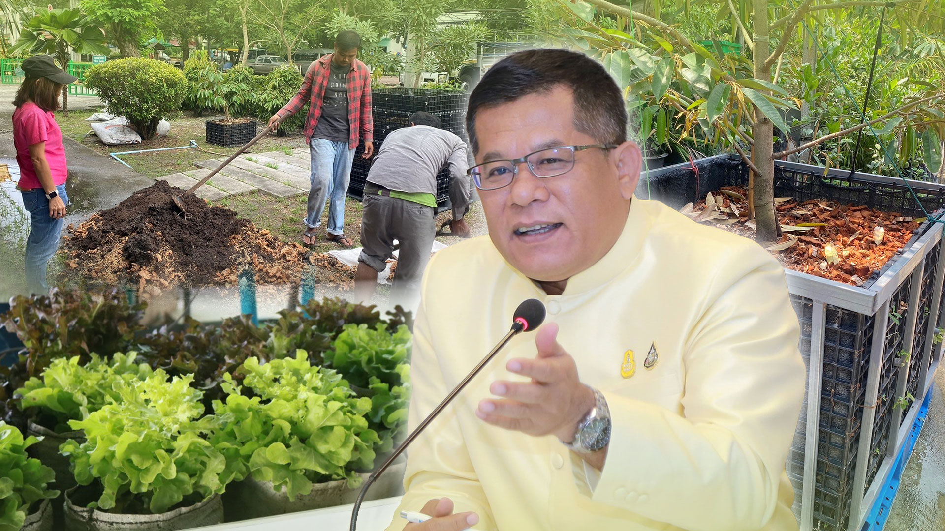 โครงการส่งเสริมเกษตรเขตเมืองอัจฉริยะ3