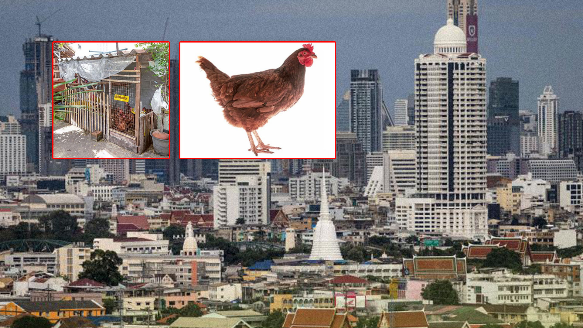 เคล็ดลับ3