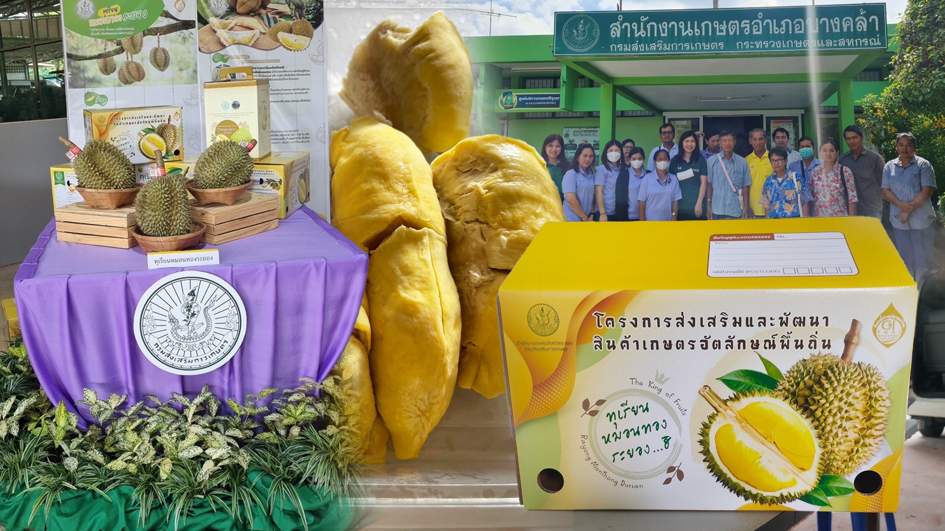 กลุ่ม2
