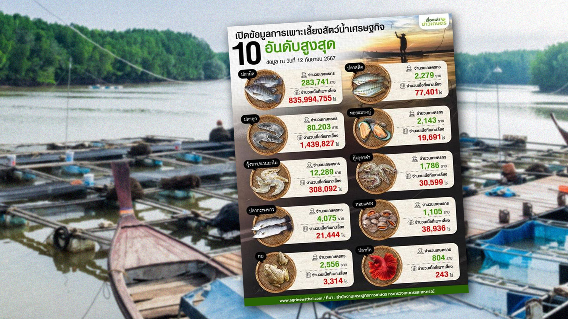 เปิดข้อมูล2