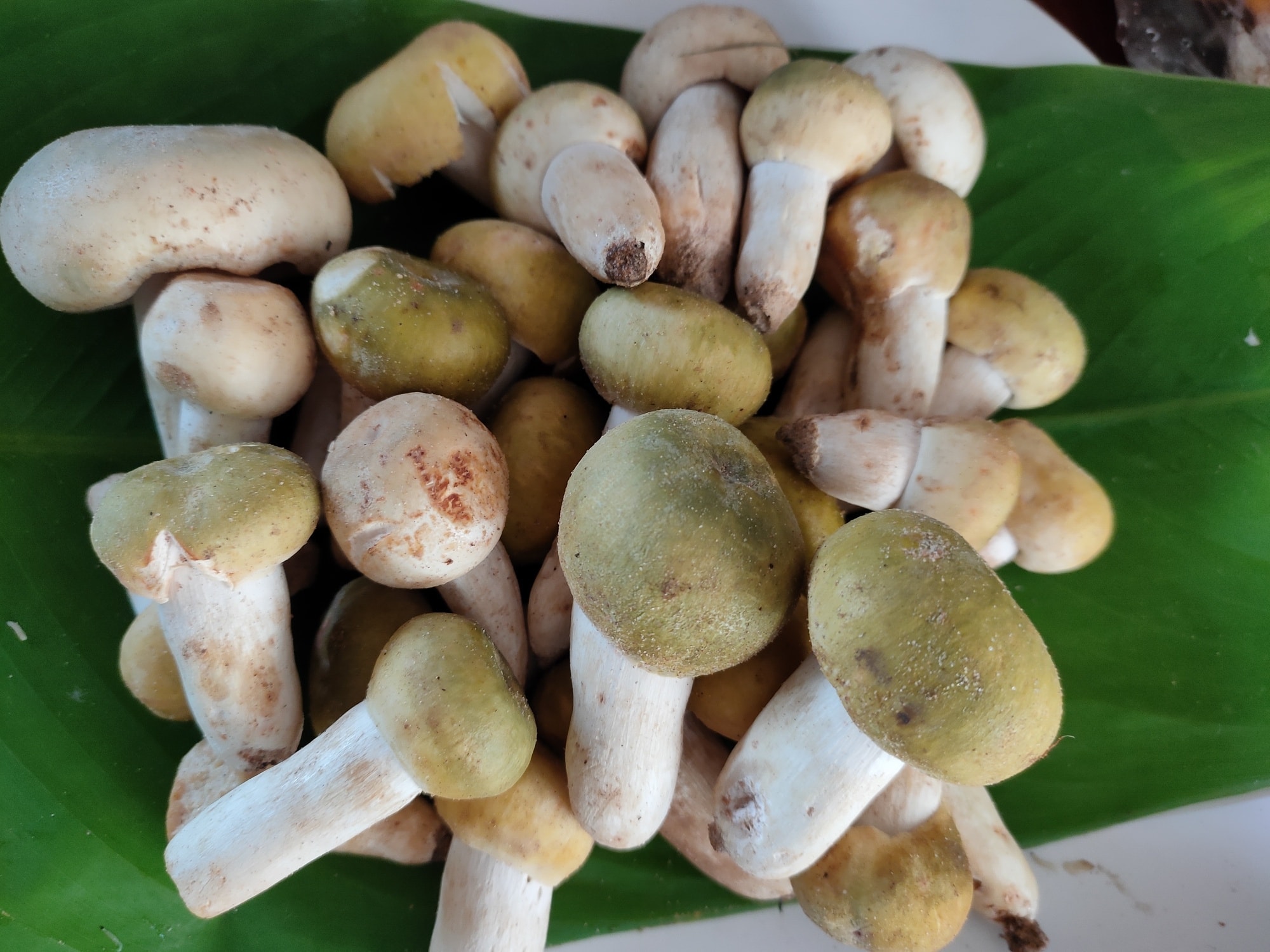 131515934 190907192741247 800014325681916723 n