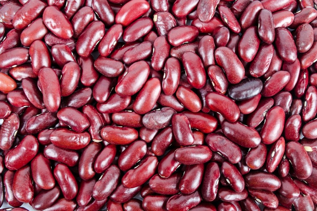 Kidney Bean 1