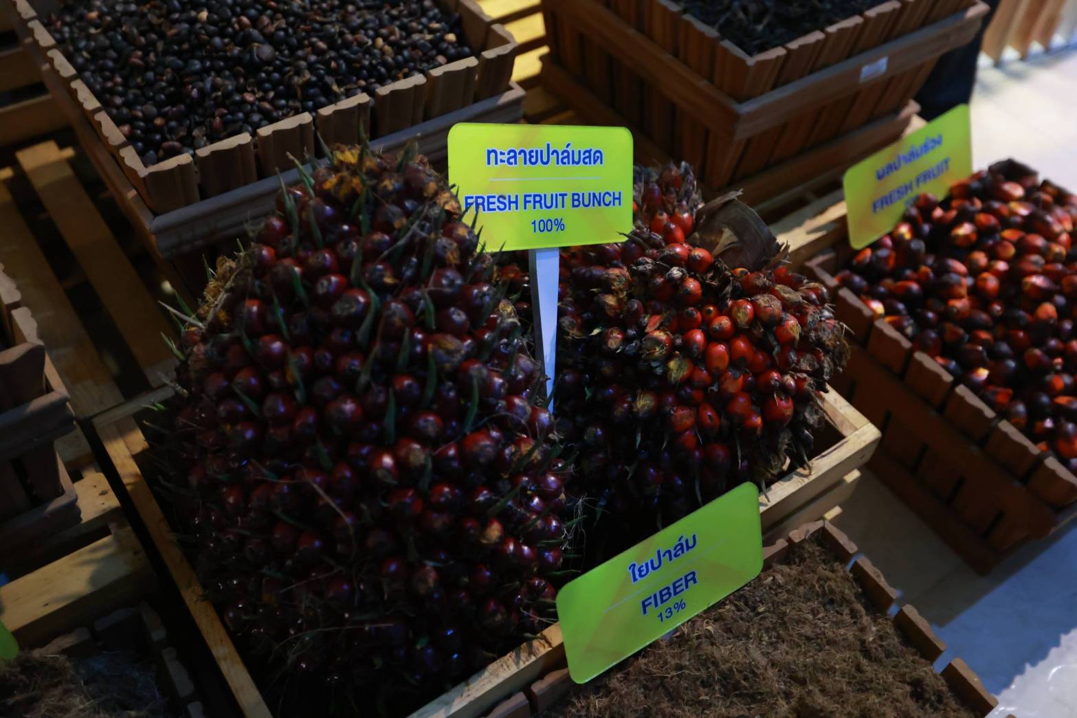 กรมส่งเสริมการเกษตร เปิดงาน Field Day เสริมความรู้เกษตรกรสู่ฤดูกาลเพาะปลูกใหม่ ปี 2568 6 S 70737937