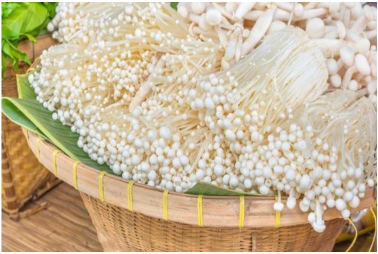 capture 20241212 151027 แก้