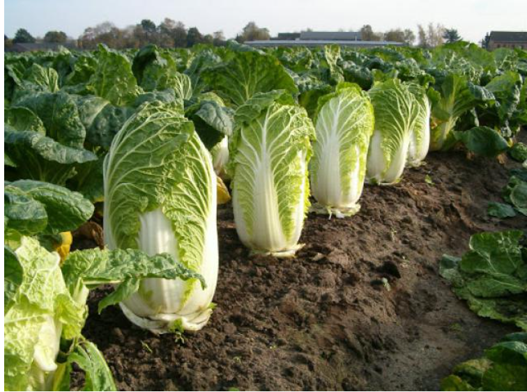 capture 20241228 162845แก้