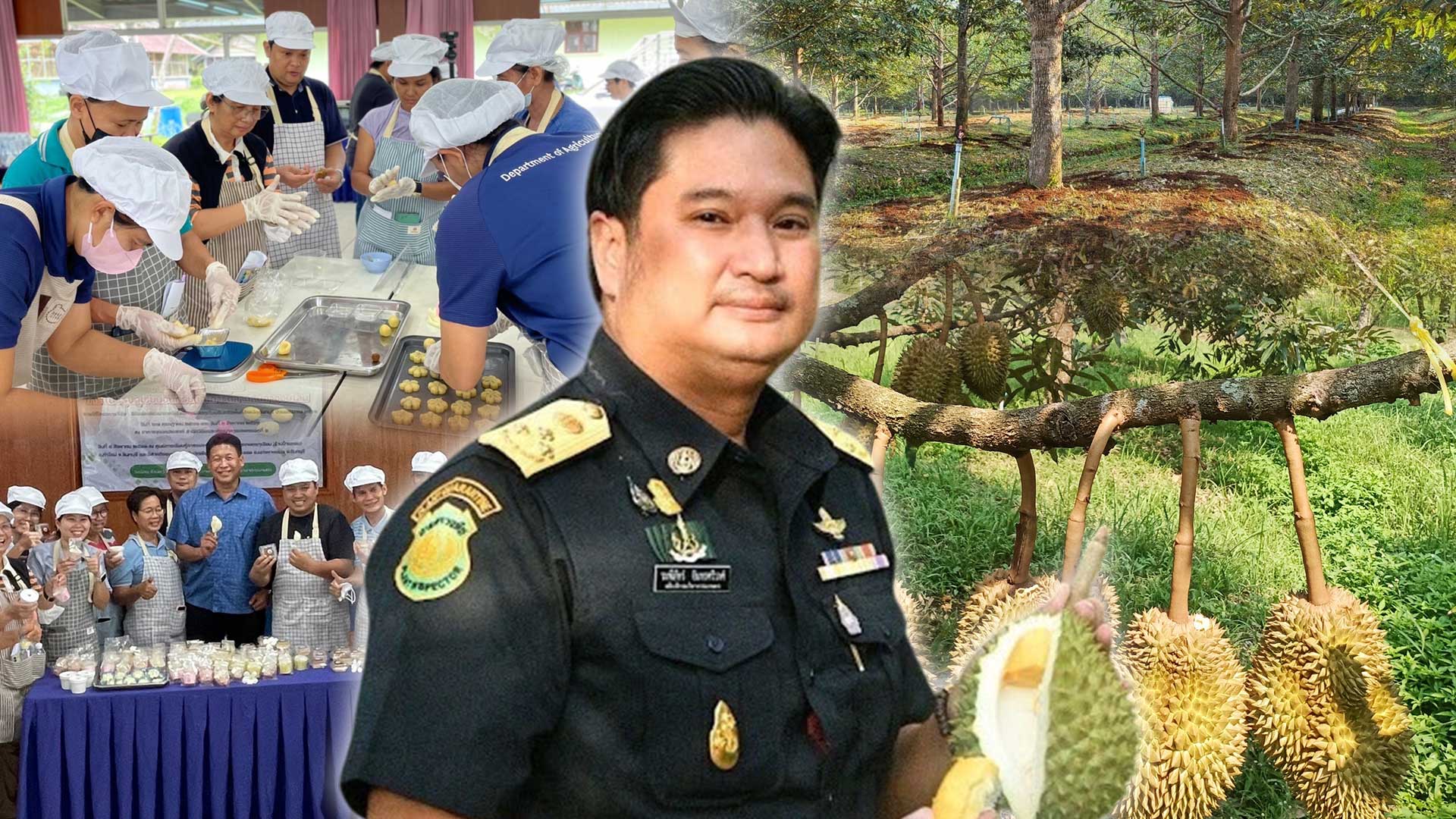 กรมวิชาการเกษตร นำร่อง3