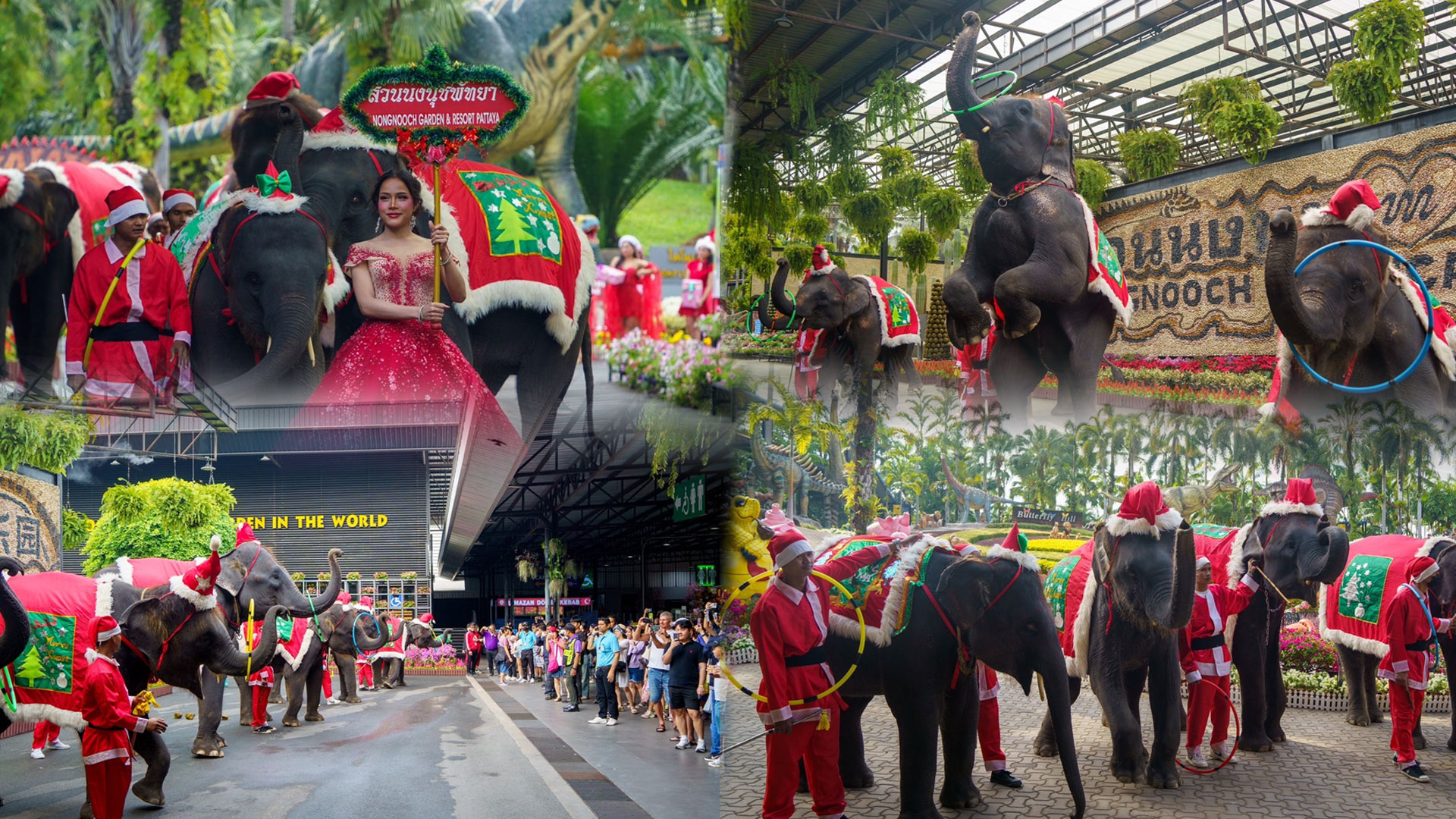 สวนนงนุชพัทยา2