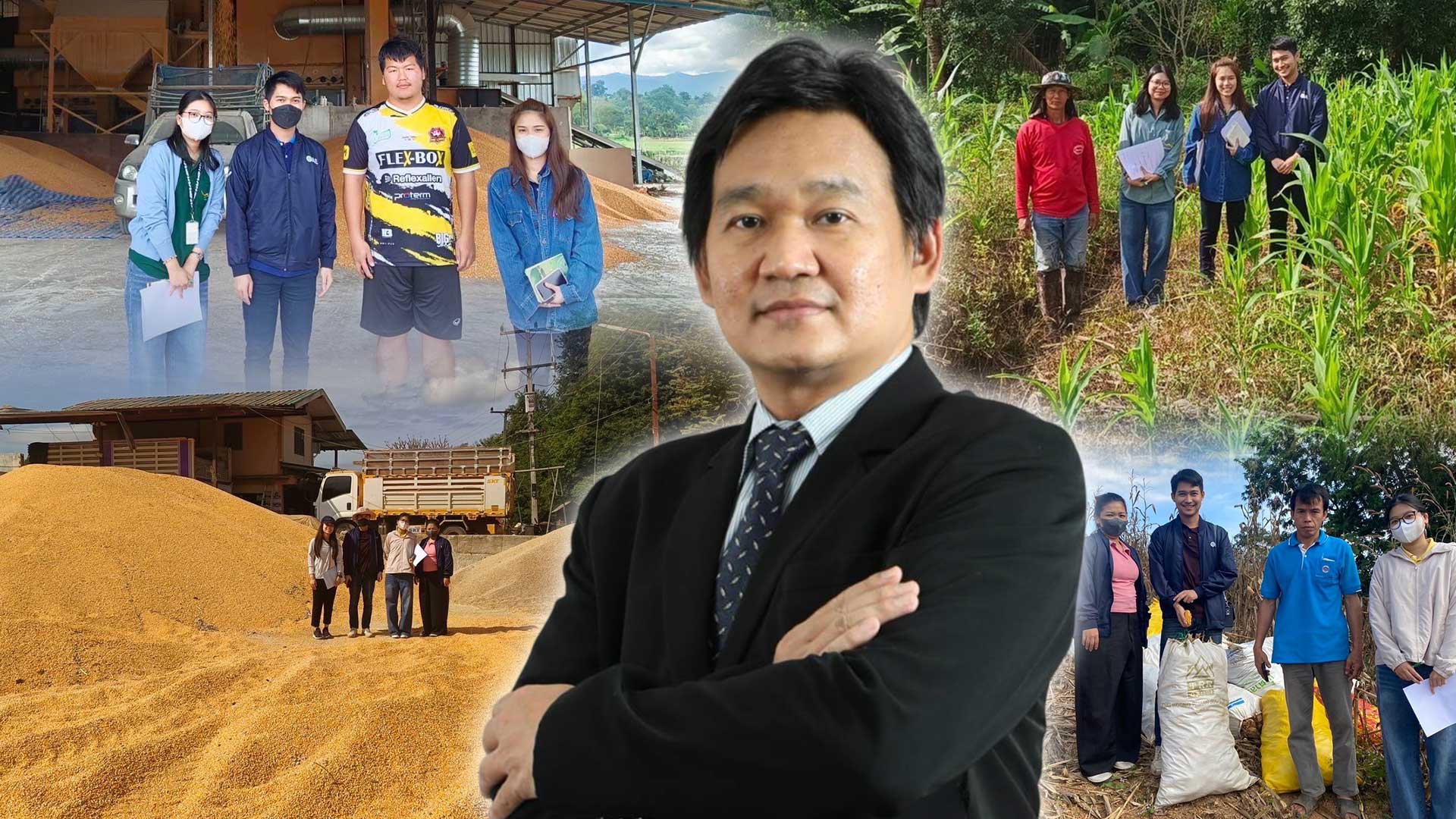แหล่งผลิตข้าวโพด3มมม