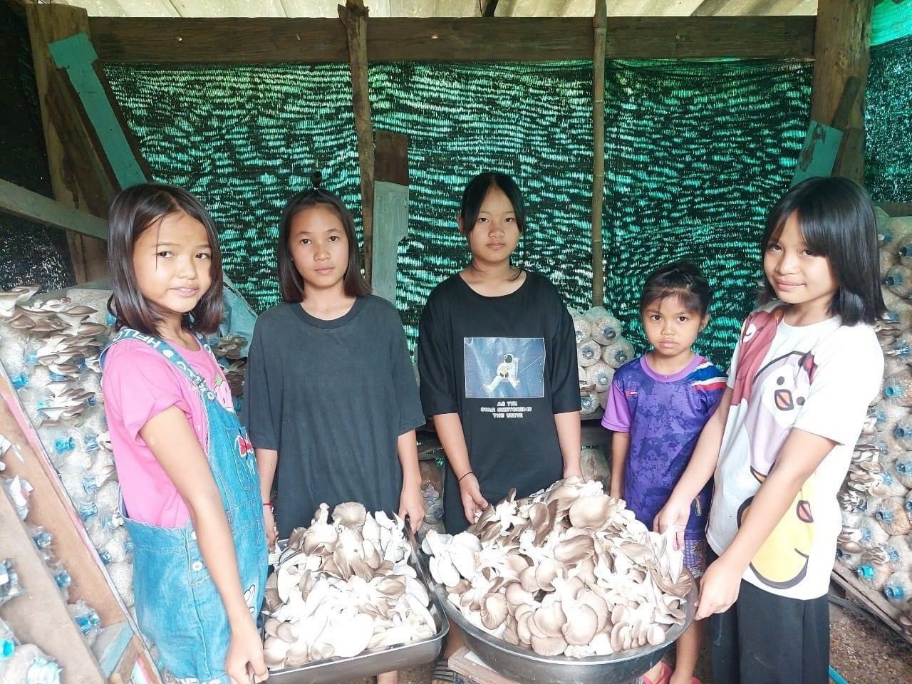 กรมวิชาการเกษตร ลุยถ่ายทอดเทคโนโลยีผลิตเห็ดแบบ Low Carbon ช่วยเกษตรกรสร้างรายได้หลักแสนบาทต่อปีอย่างยั่งยืน 11 007