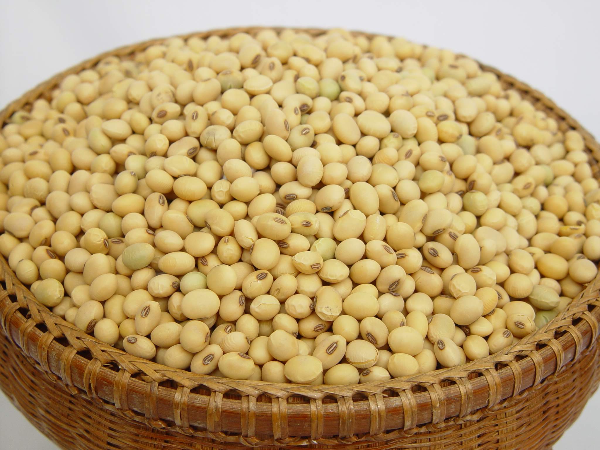 กรมวิชาการเกษตร ใส่เกียร์เดินหน้าพัฒนาพันธุ์พืชด้วยเทคโนโลยีจีโนมเตรียมพร้อมเป็น Seed hub ยกระดับรายได้เกษตรกรไทย 8 010