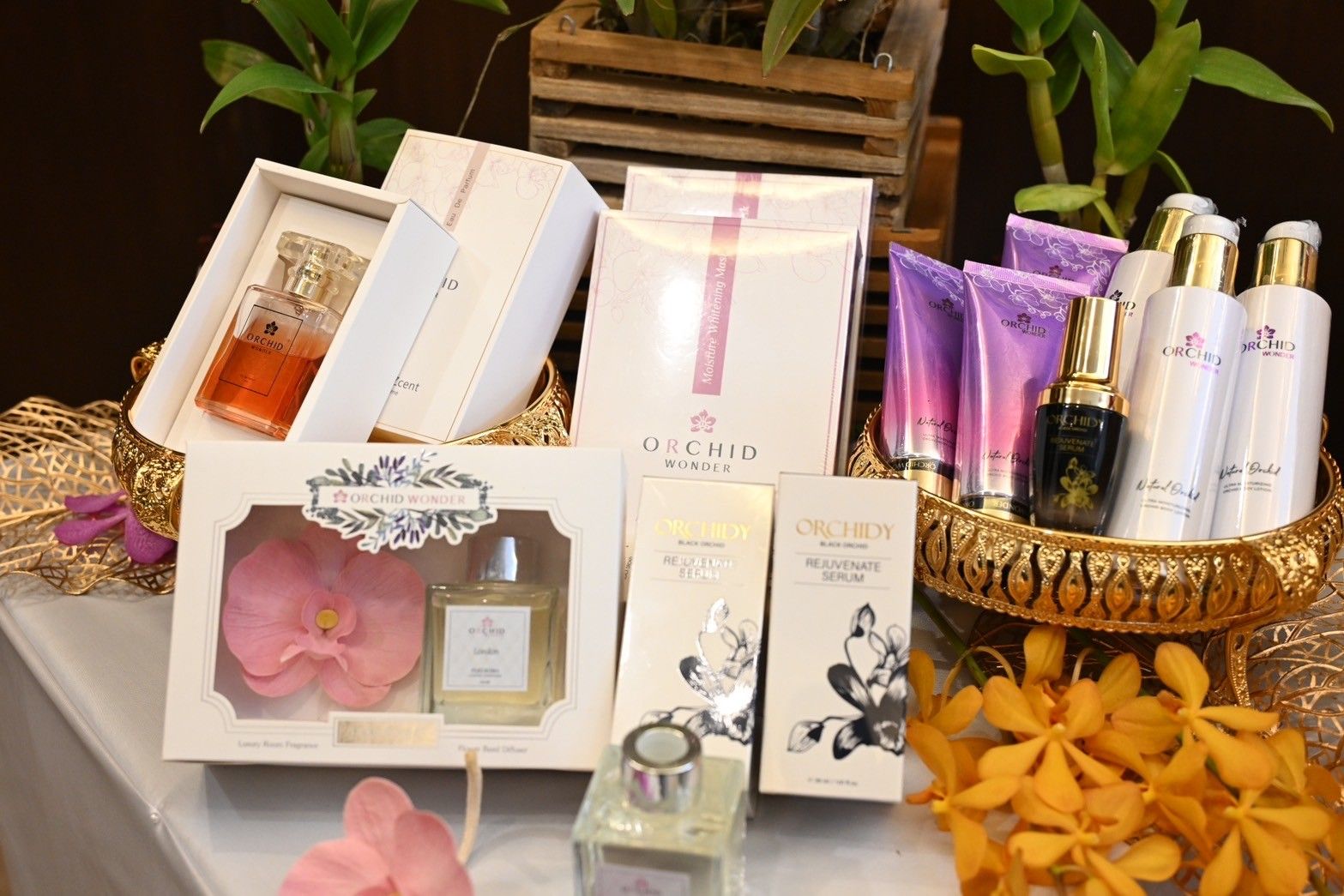 “รมว.นฤมล” นำทีมกระทรวงเกษตรฯ จัดงาน “Beyond & Journey of Siam Orchids” 16 ม.ค.นี้ เพิ่มโอกาสให้เกษตรกรผู้ปลูกกล้วยไม้ไทยเข้าถึงกลุ่มผู้บริโภคมากขึ้น 5 1108959