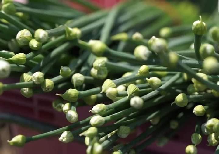 118118623 178057657171030 4564546087118233140 n