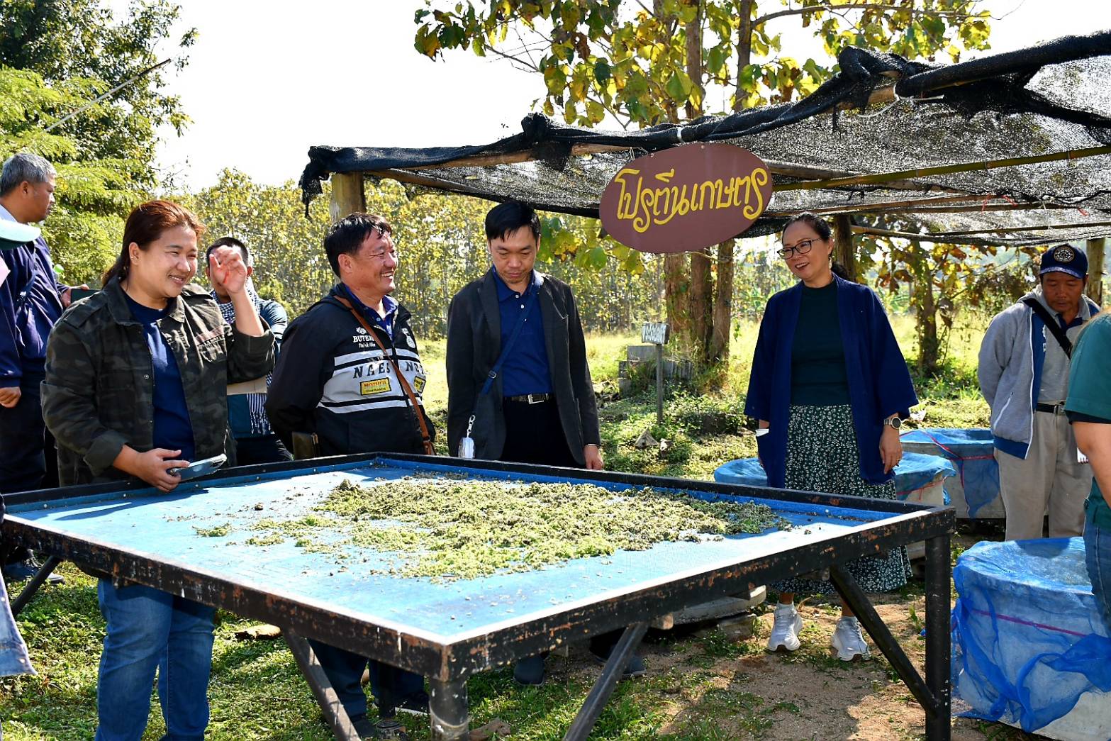 มกอช. อบรมความรู้เกษตรกรศูนย์พัฒนาโครงการหลวงแม่สาใหม่ แปรรูปผลกาแฟเชอรี่เป็นกาแฟกะลาตามมาตรฐานสินค้าเกษตรที่มีคุณภาพดี และเป็นที่ยอมรับของผู้บริโภค 5 1739065