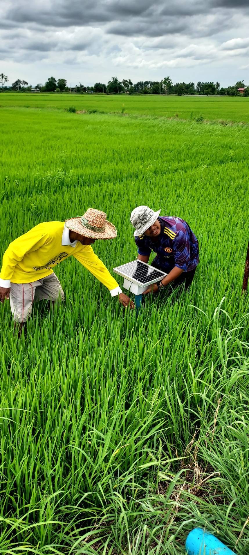 ‘ศกอ.สุพรรณบุรี’ ทำนาข้าวลดโลกร้อน ขายคาร์บอนเครดิต สร้างรายได้ 6 2