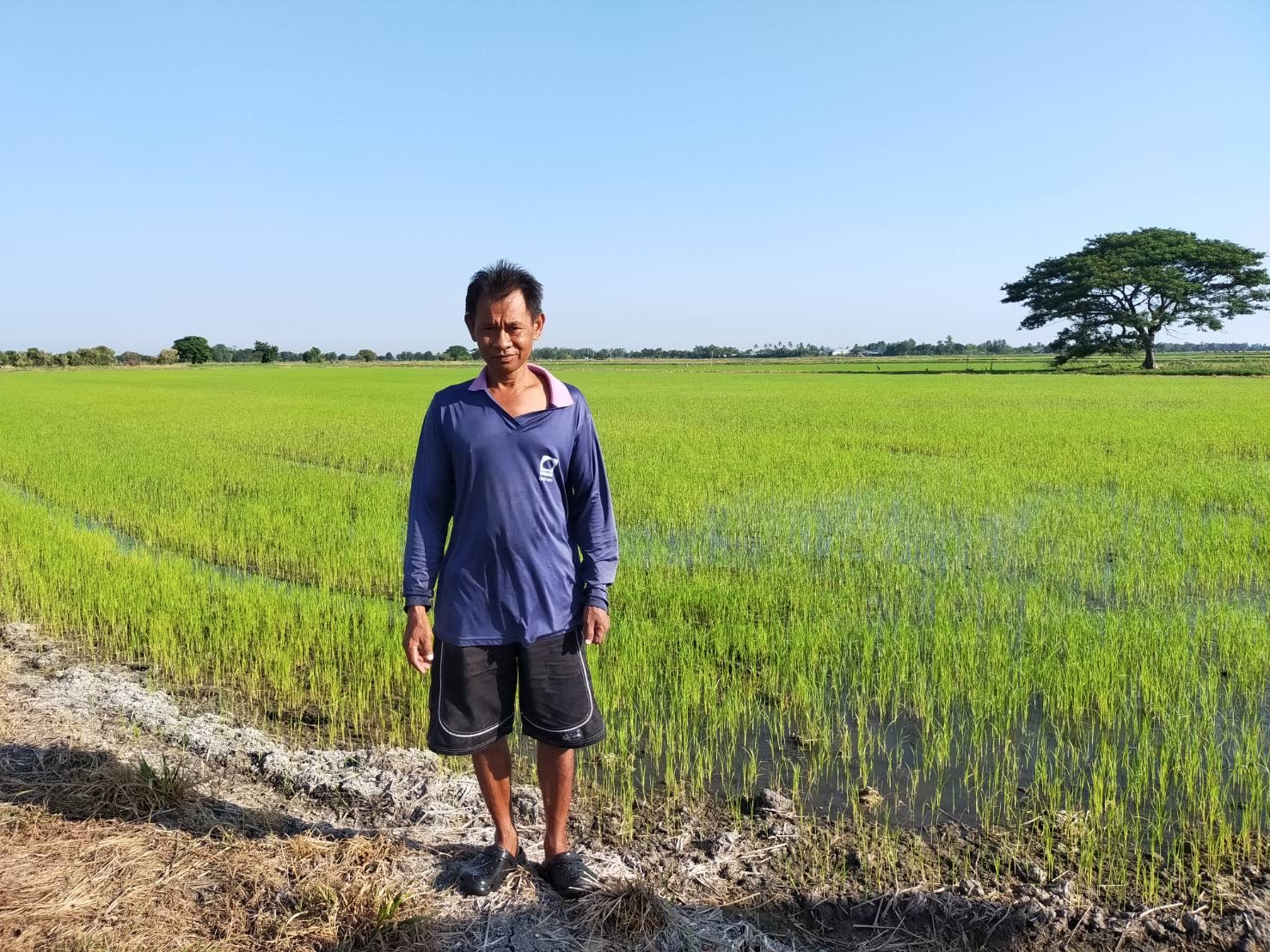 ‘ศกอ.สุพรรณบุรี’ ทำนาข้าวลดโลกร้อน ขายคาร์บอนเครดิต สร้างรายได้ 7 3 1