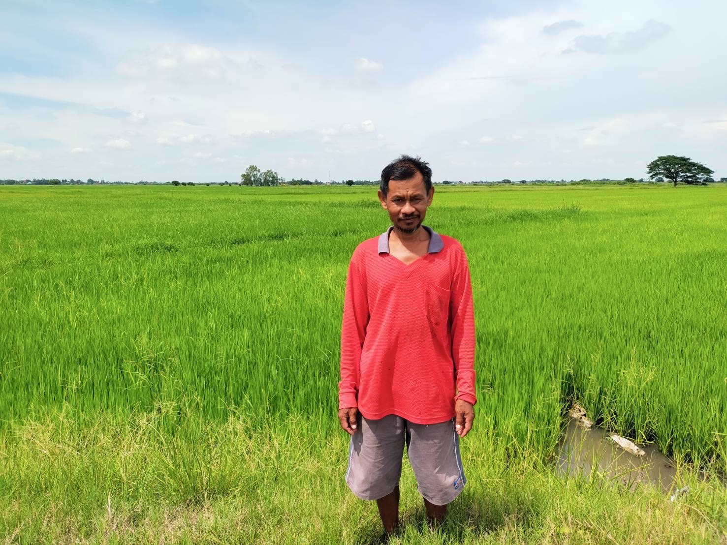 ‘ศกอ.สุพรรณบุรี’ ทำนาข้าวลดโลกร้อน ขายคาร์บอนเครดิต สร้างรายได้ 3 4 1