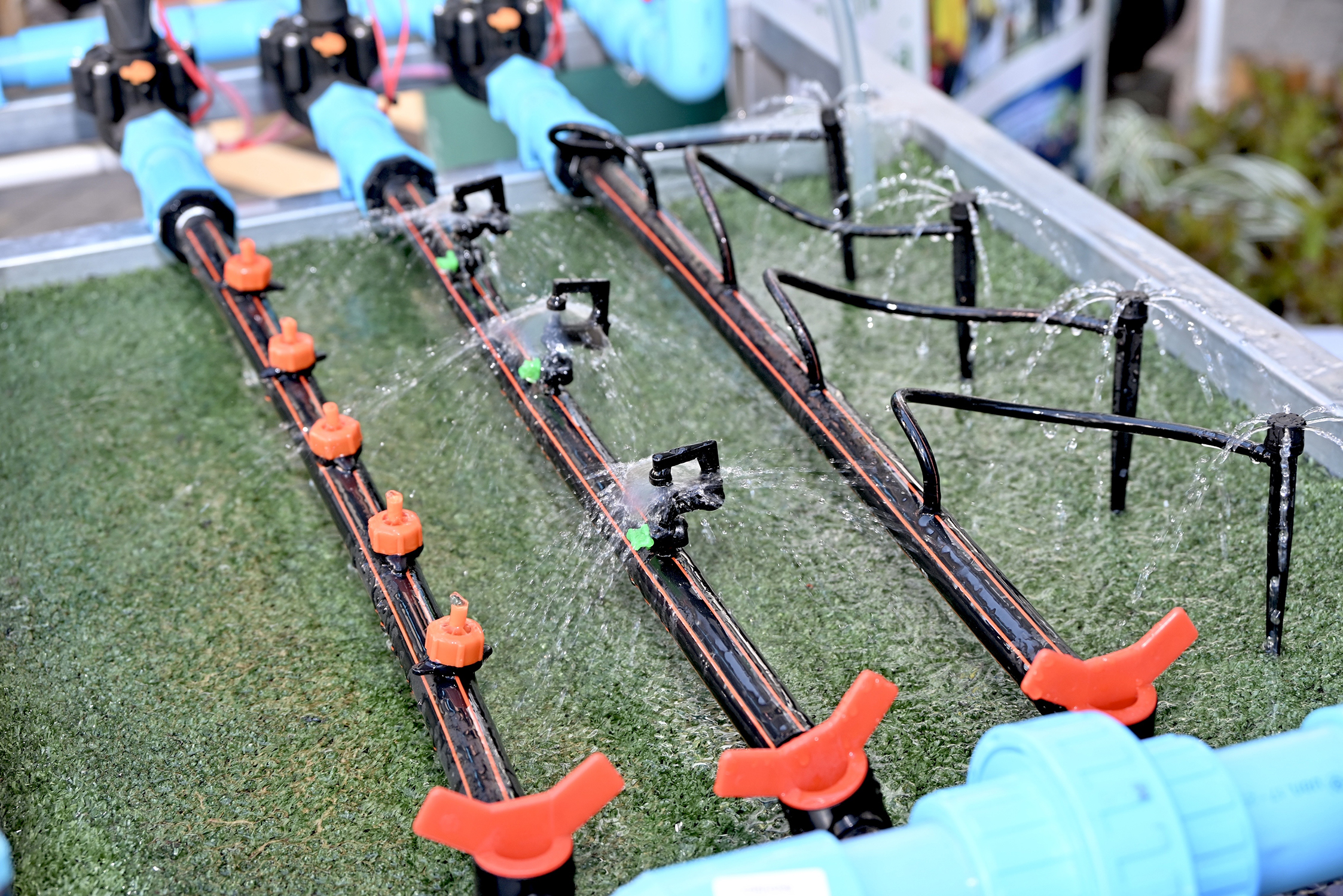 กรมวิชาการเกษตร จัดใหญ่โชว์งานวิจัยใช้ได้จริง พร้อมเปิดเวทีจัดกิจกรรมสาธิตสร้างอาชีพเสริม ดีเดย์พร้อมเปิดงาน 31 ม.ค.นี้ 10 9 1