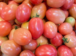 9da290ea0a1fba46ea58251e0a425137