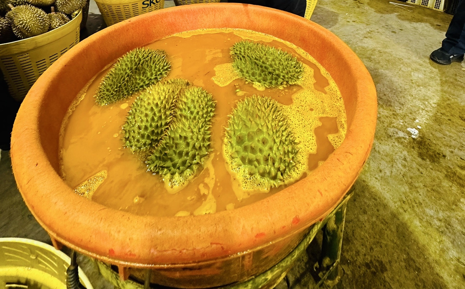 เปิดรายชื่อ 12 ห้องปฏิบัติการ ที่กรมวิชาการเกษตร ให้การยอมรับ ใช้ตรวจการปนเปื้อน แคดเมียมและ สาร BY2 ในทุเรียนจากไทยส่งไปจีนเริ่ม 20 มกราคม 68 4 S 10846221 1